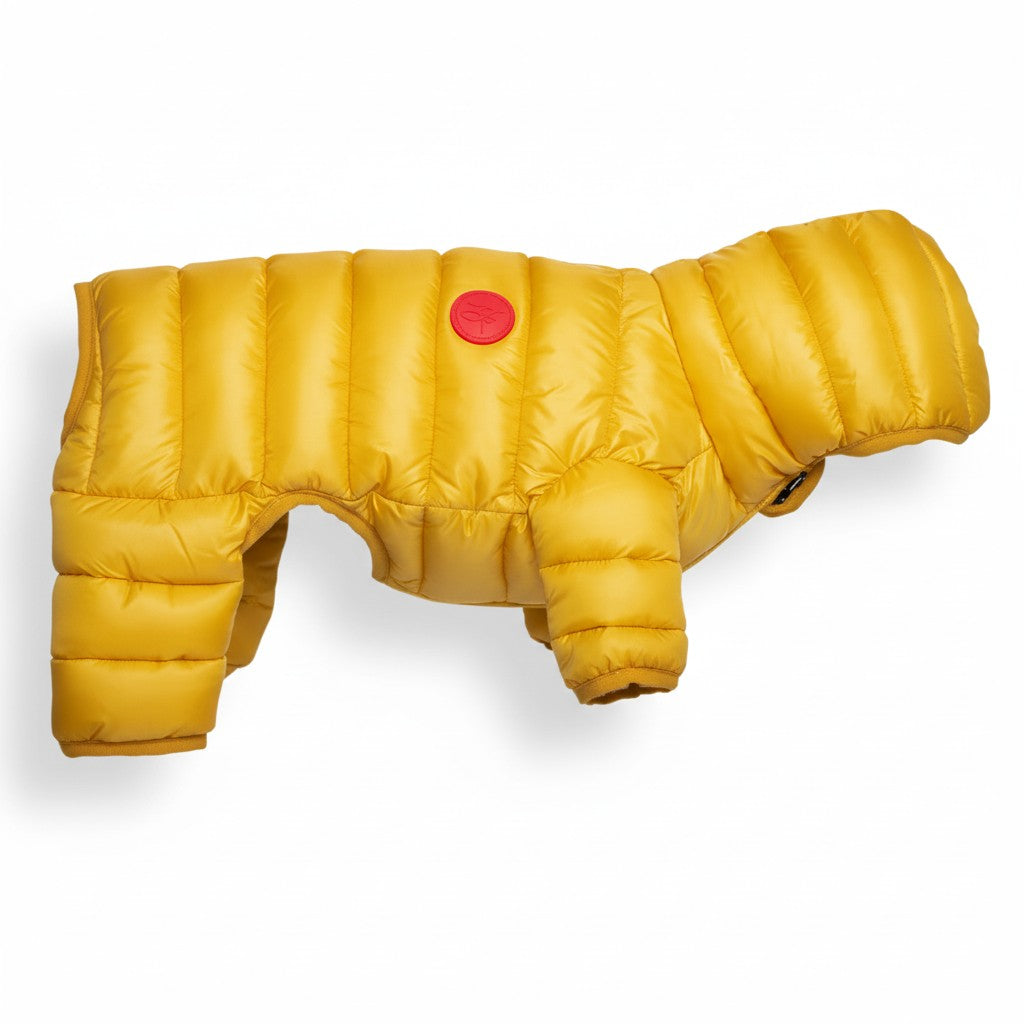 Aurex Eiswind-Overall — Luxuriöser Kälteschutz für Hunde