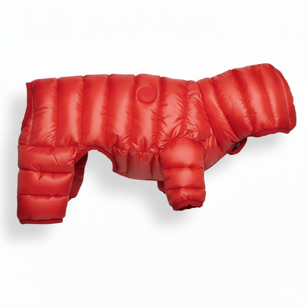 Aurex Eiswind-Overall — Luxuriöser Kälteschutz für Hunde