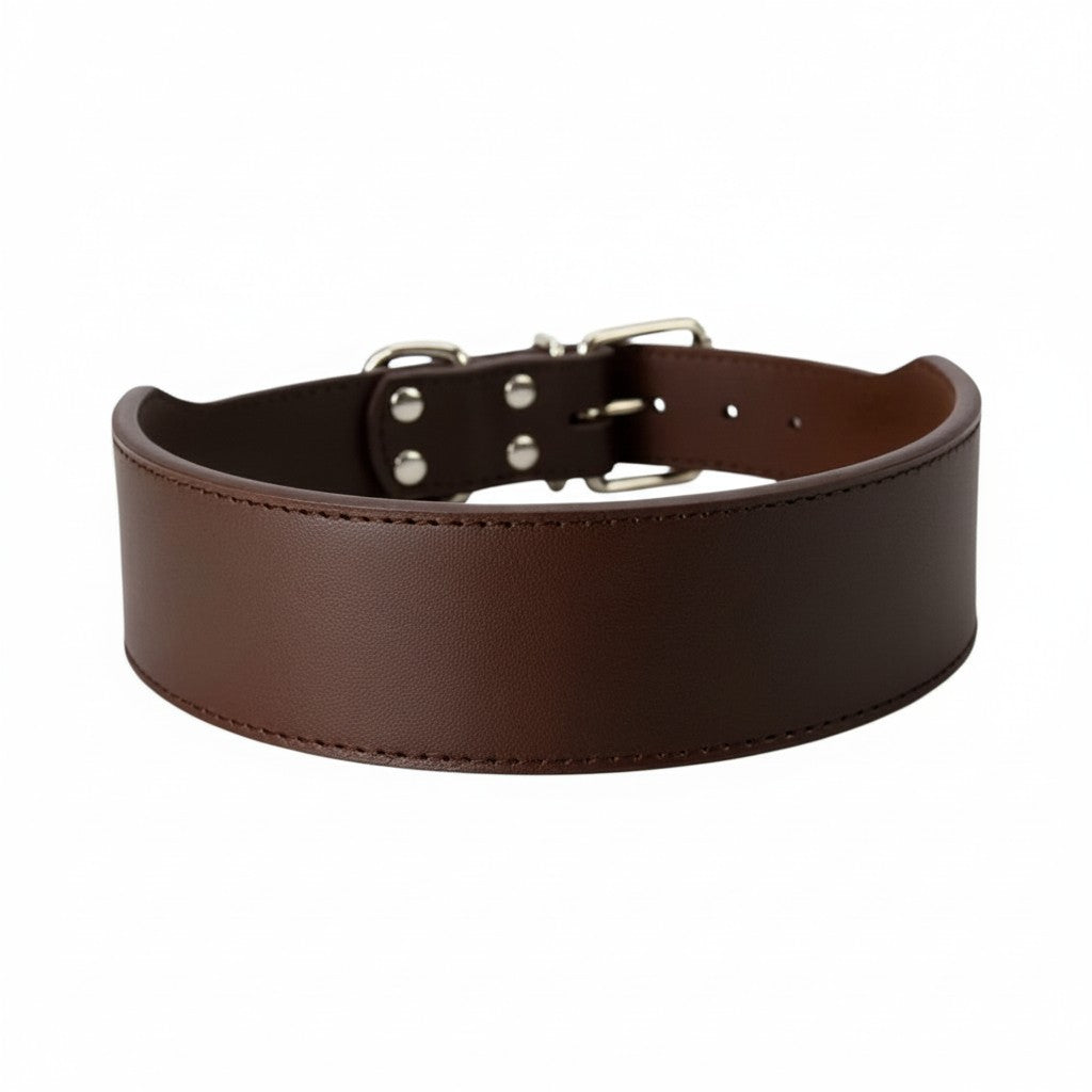 Aurex Wide Collar — Large Dogs, Double-Layer Leather, 5 cm, Steel Buckle