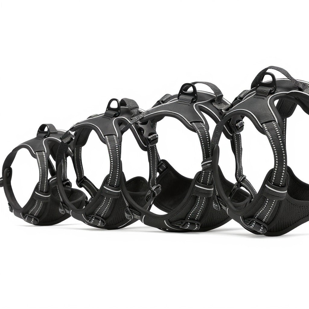 Aurex No-Pull Dog Harness — Neoprene Chest Pad, Dual-Clip, Reflective