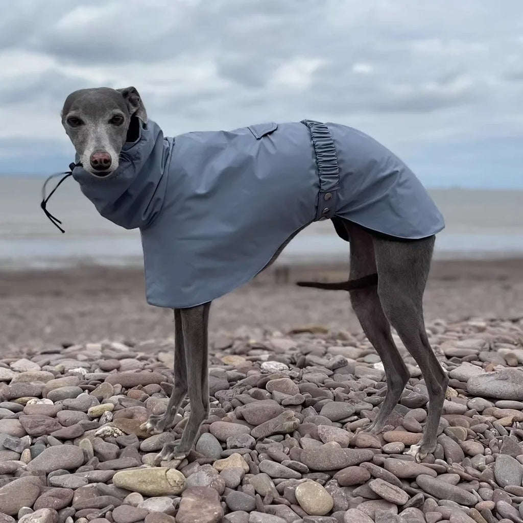 Aurex Rain Coat for Female Dogs — 3-Layer Softshell, Sighthound Cut