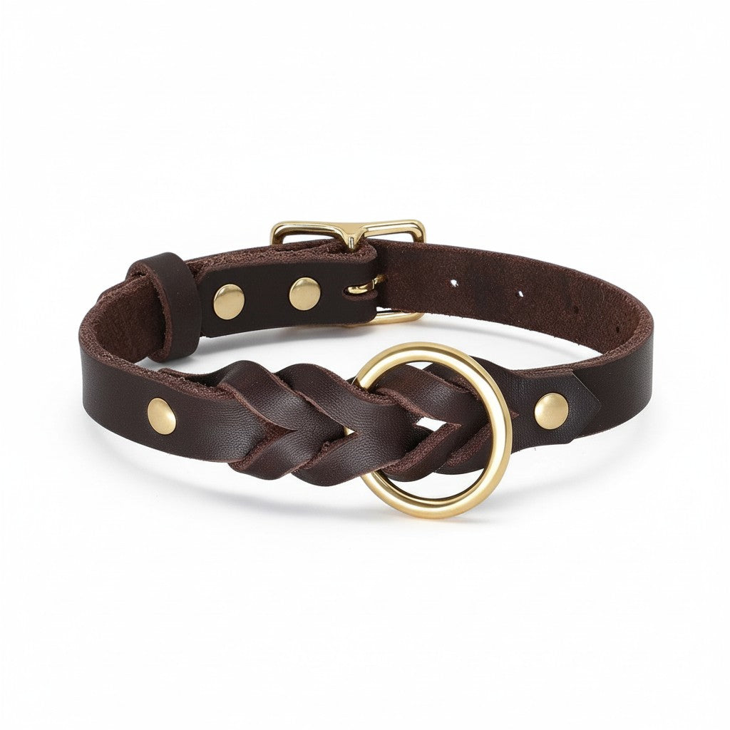 Aurex Braided Set — Hand-Braided Full-Grain Leather, Solid Brass, Collar & Leash