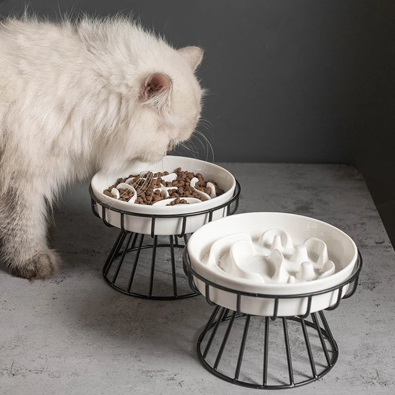 Aurex Slow-Feeder Ceramic Bowl — Maze Structure & Wire Stand