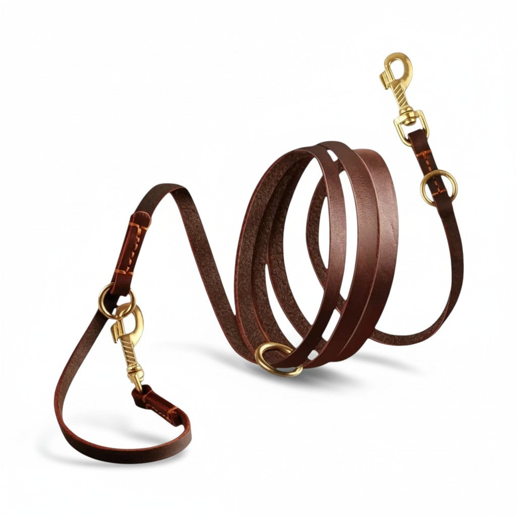 Aurex Hands-Free Leash — Full-Grain Leather, Solid Brass, 6 Functions