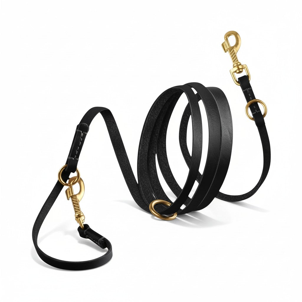 Aurex Hands-Free Leash — Full-Grain Leather, Solid Brass, 6 Functions