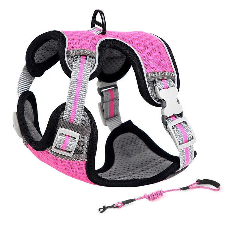 Aurex Cat Harness — Aerospace Aluminum, 3M Reflective, Escape-Proof