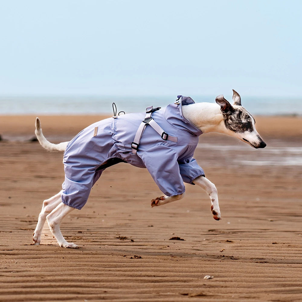 Aurex Full-Body Dog Rain Coat — 3-Layer TPU Membrane, Fleece Lining