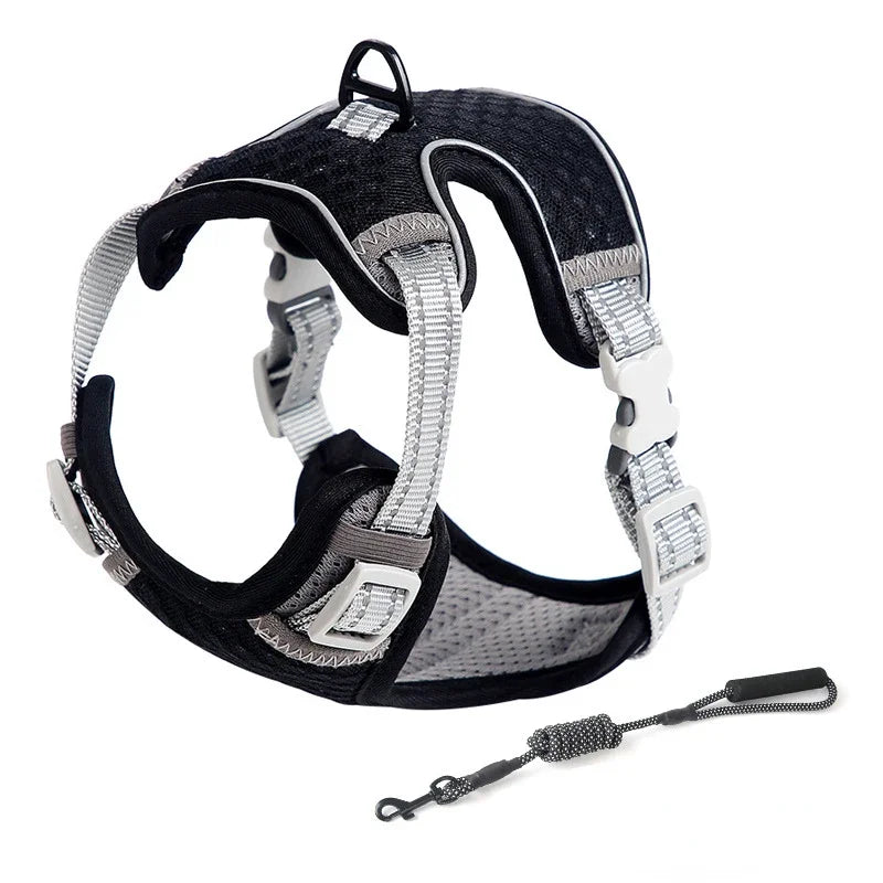 Aurex Cat Harness — Aerospace Aluminum, 3M Reflective, Escape-Proof