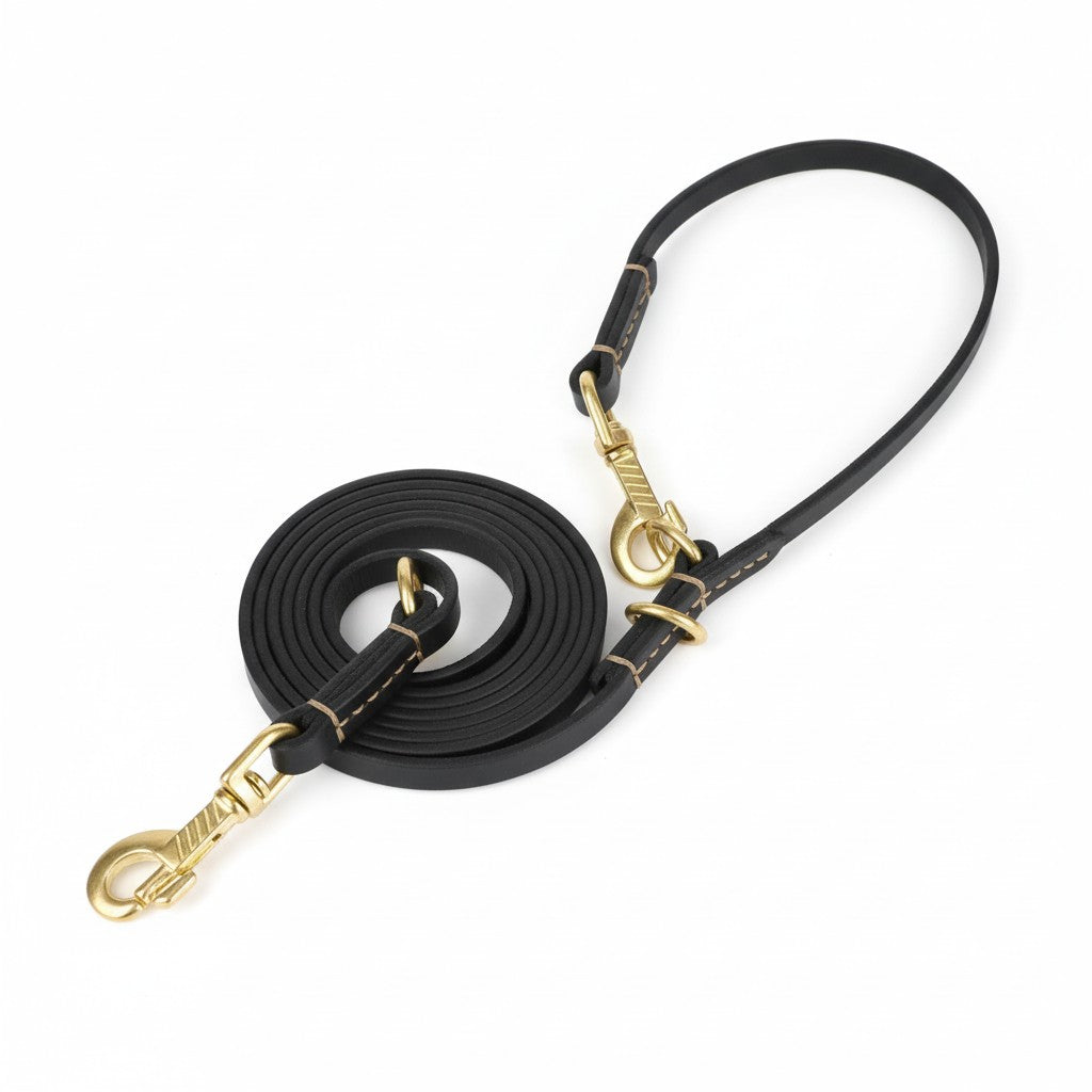 Aurex Hands-Free Leash — Full-Grain Leather, Solid Brass, 6 Functions