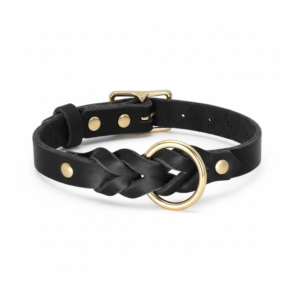Aurex Braided Set — Hand-Braided Full-Grain Leather, Solid Brass, Collar & Leash