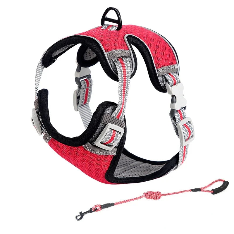 Aurex Cat Harness — Aerospace Aluminum, 3M Reflective, Escape-Proof