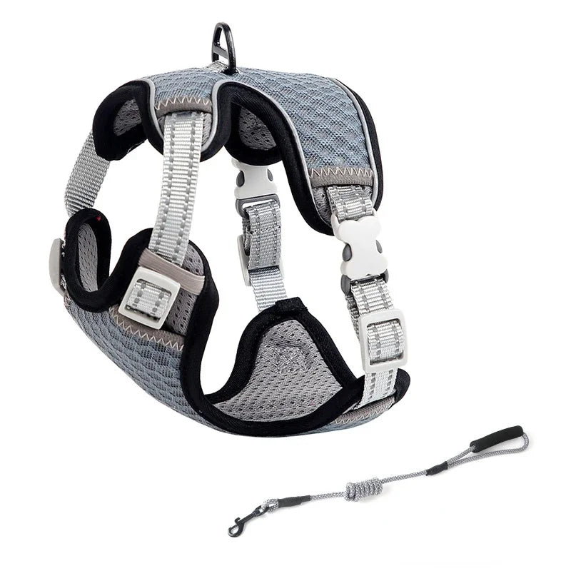 Aurex Cat Harness — Aerospace Aluminum, 3M Reflective, Escape-Proof