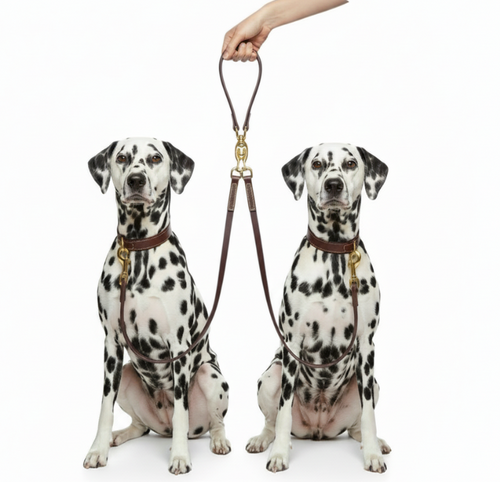 Aurex Duo-Leine — Echtleder-Doppelleine für zwei Hunde