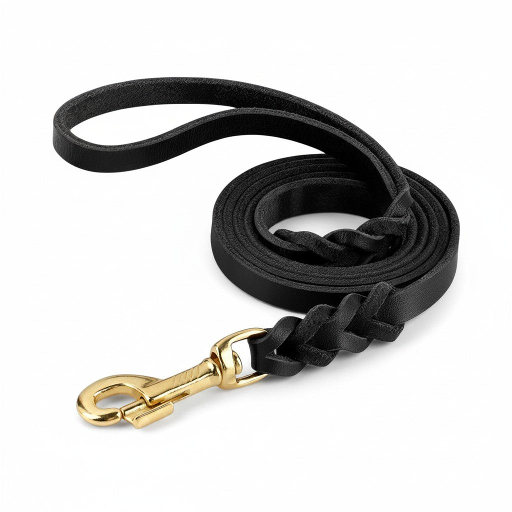 Aurex Braided Set — Hand-Braided Full-Grain Leather, Solid Brass, Collar & Leash