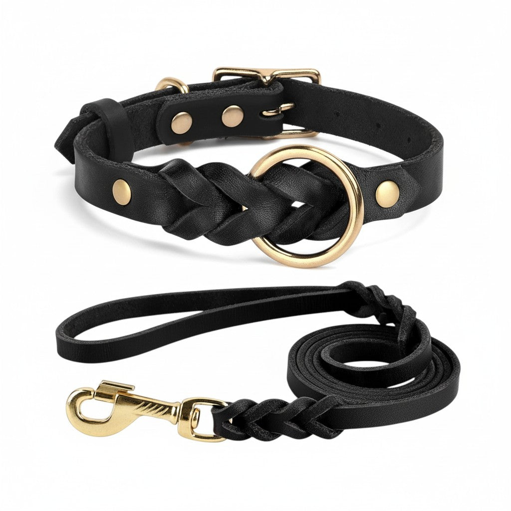 Aurex Braided Set — Hand-Braided Full-Grain Leather, Solid Brass, Collar & Leash